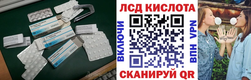 где купить наркоту  Шенкурск  ЛСД экстази кислота 