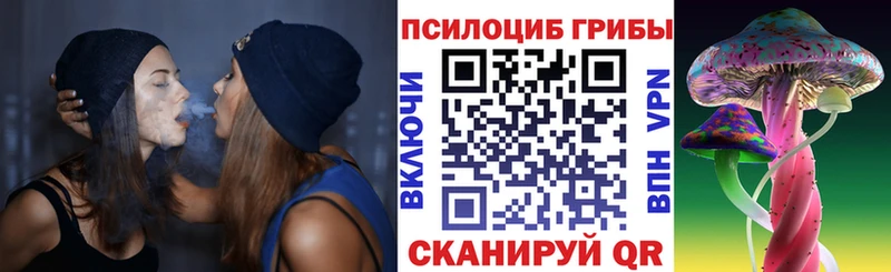 Псилоцибиновые грибы Psilocybe Шенкурск