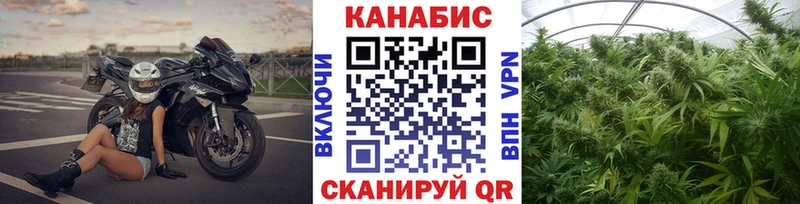 Шишки марихуана ГИДРОПОН  где купить наркоту  Шенкурск 